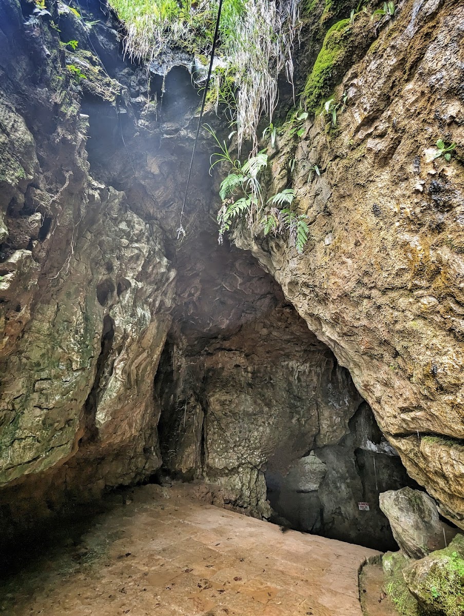 Arwah Cave - Attractions in Meghalaya, Image 4 of 4