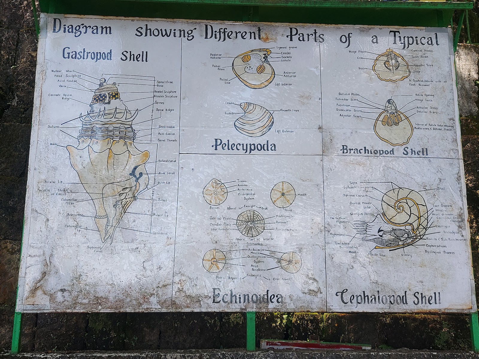 Arwah-Lumshynna Cave Viewpoint - Attractions in Meghalaya, Image 4 of 4