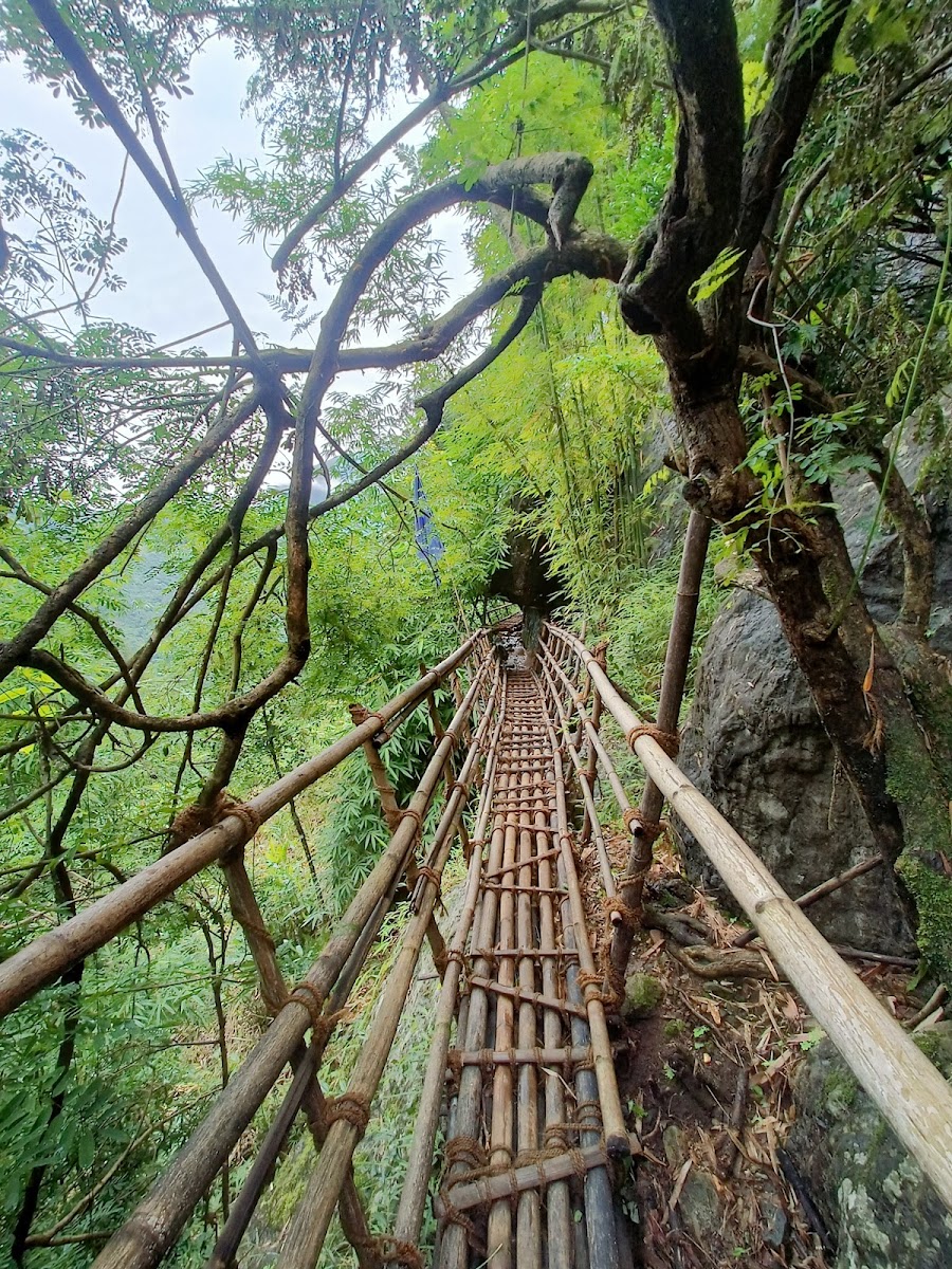 Bamboo trek - Attractions in Meghalaya, India