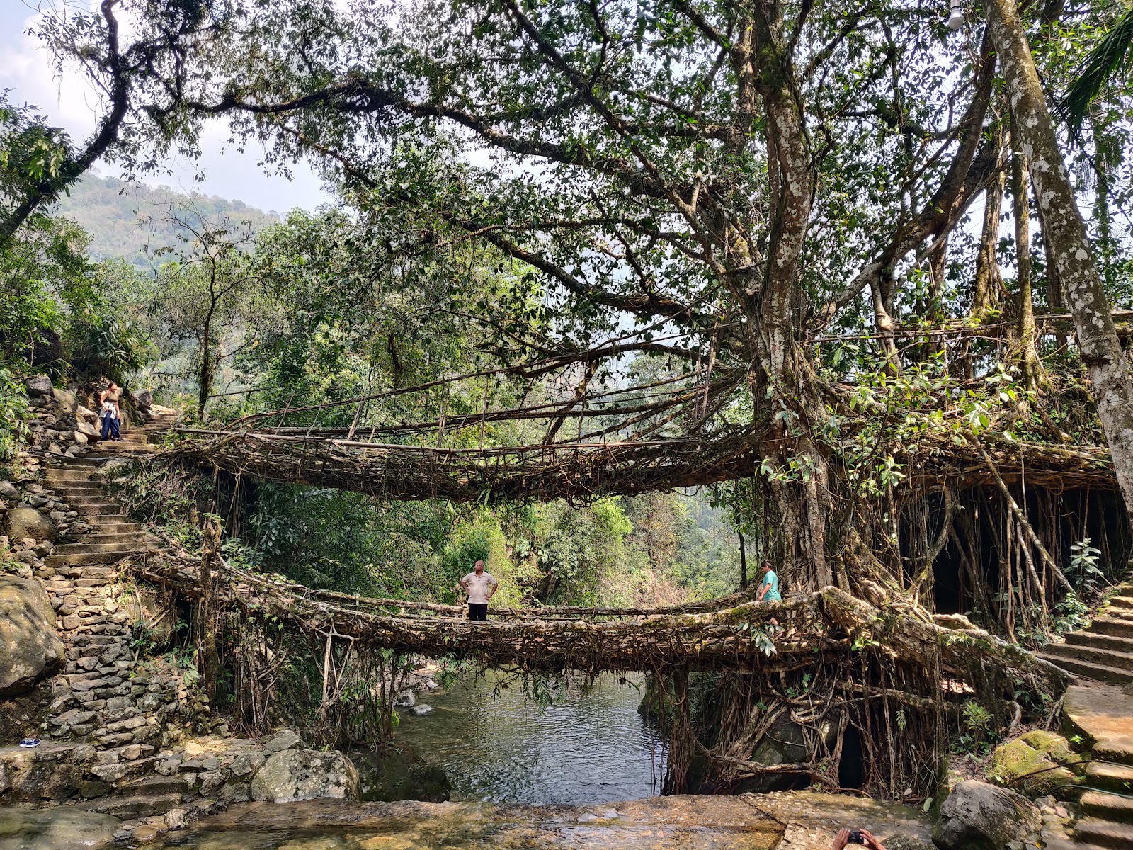 Double Decker Living Root Bridge - Attractions in Meghalaya, India