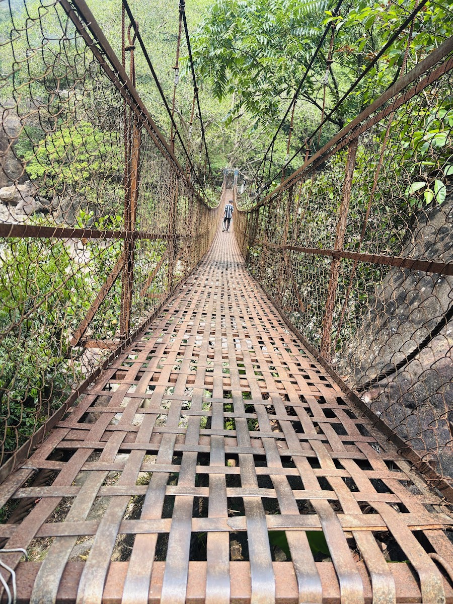 Double Decker Living Root Bridge - Attractions in Meghalaya, Image 2 of 4