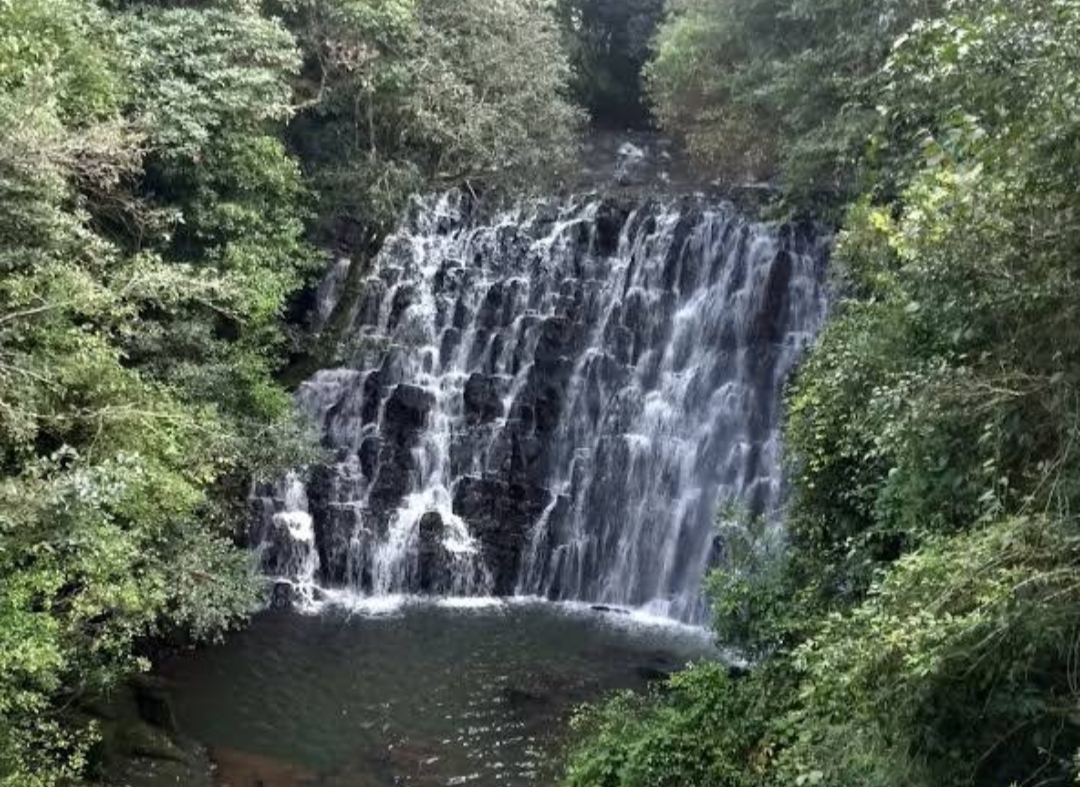 Elephant Falls - Attractions in Meghalaya, Image 3 of 4