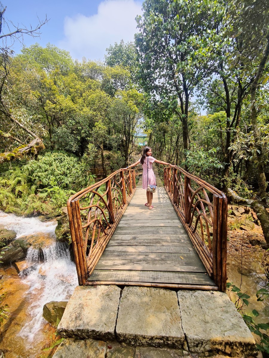 Garden Of Caves - Attractions in Meghalaya, Image 3 of 4