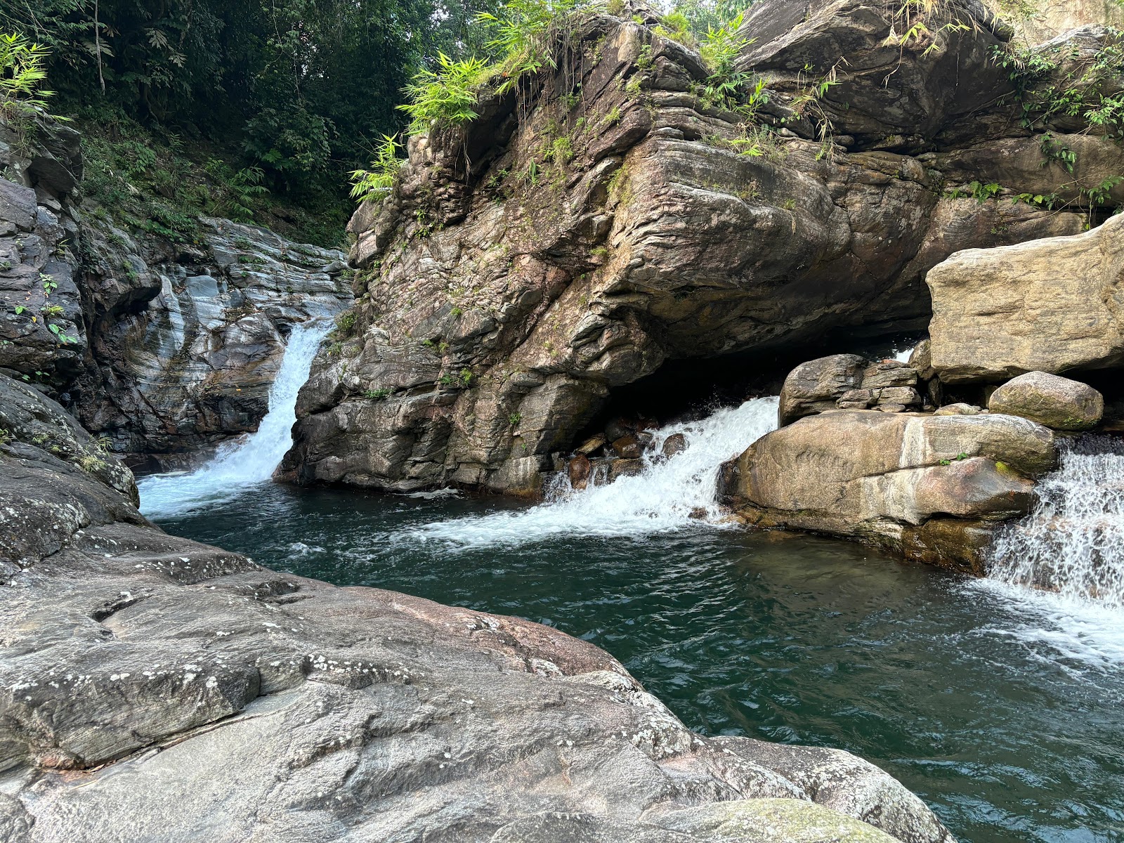 Jadisil Fish Sanctuary - Attractions in Meghalaya, Image 2 of 4