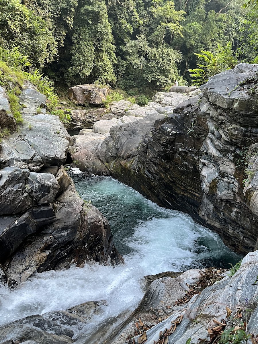 Jadisil Fish Sanctuary - Attractions in Meghalaya, Image 3 of 4