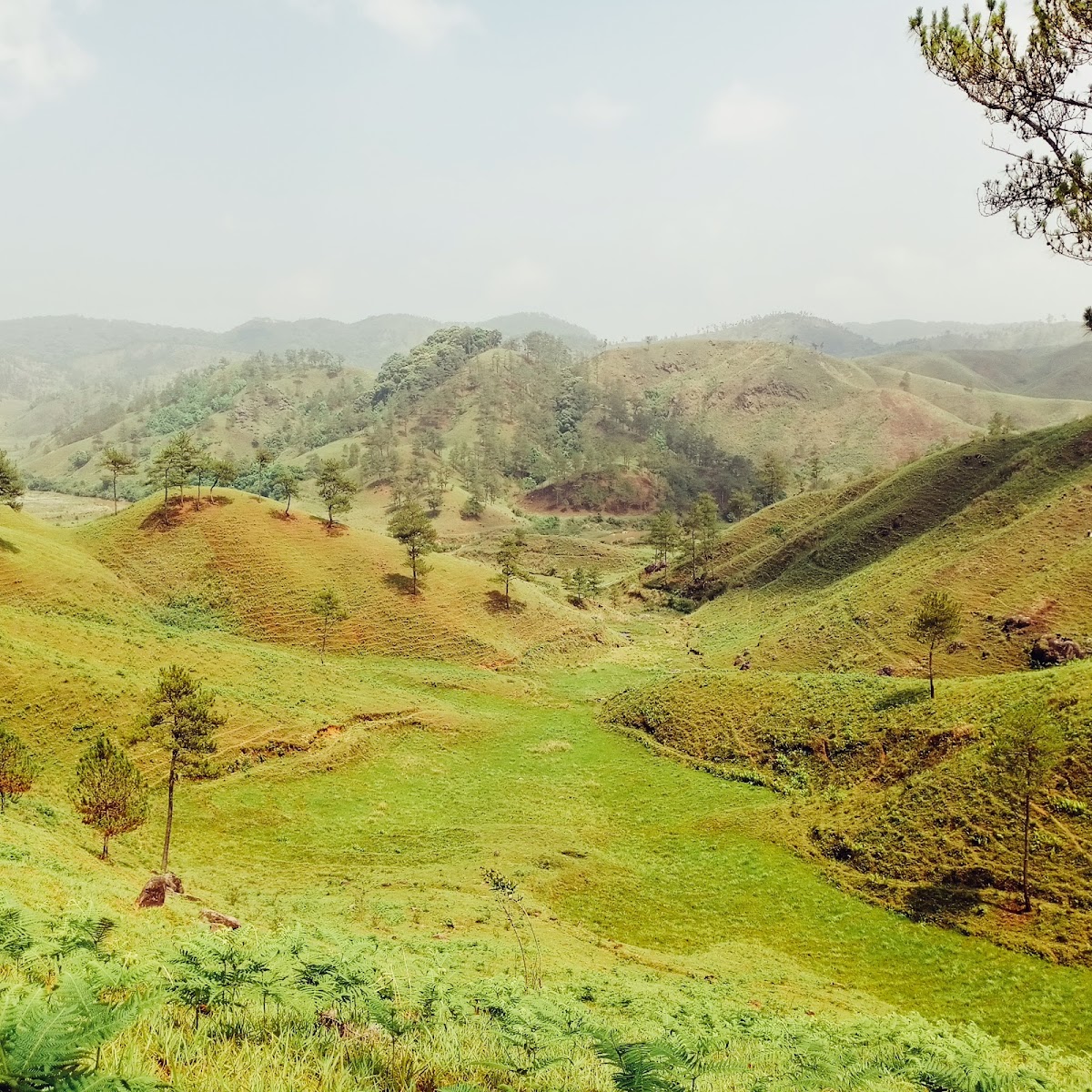 Japung Valley - Attractions in Meghalaya, Image 3 of 4