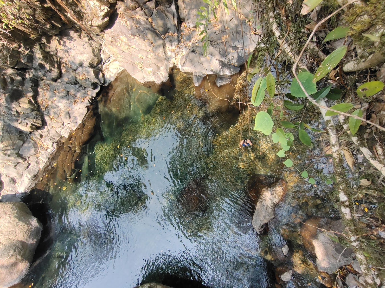 Kongthong - Other in Meghalaya, Image 4 of 4