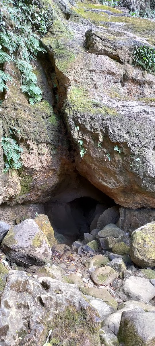 Krem Puri Cave - Attractions in Meghalaya, Image 3 of 4