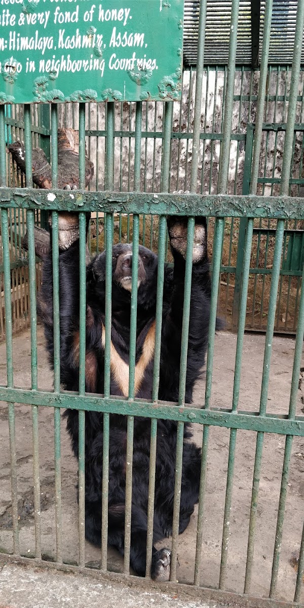 Lady Hydari Park - Parks in Meghalaya, Image 3 of 4