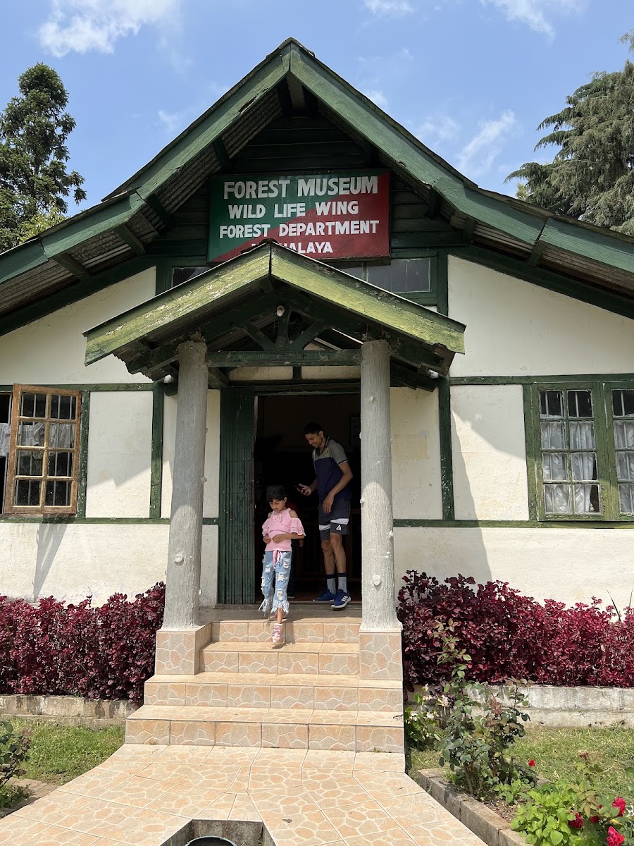 Lady Hydari Park - Parks in Meghalaya, Image 4 of 4