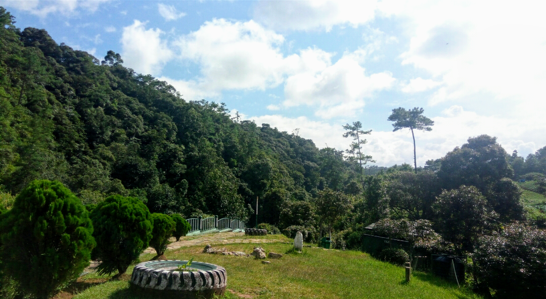 Mattilang Park - Other in Meghalaya, Image 3 of 4