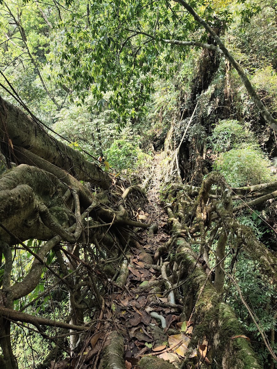 Mawkyrnot - Attractions in Meghalaya, India