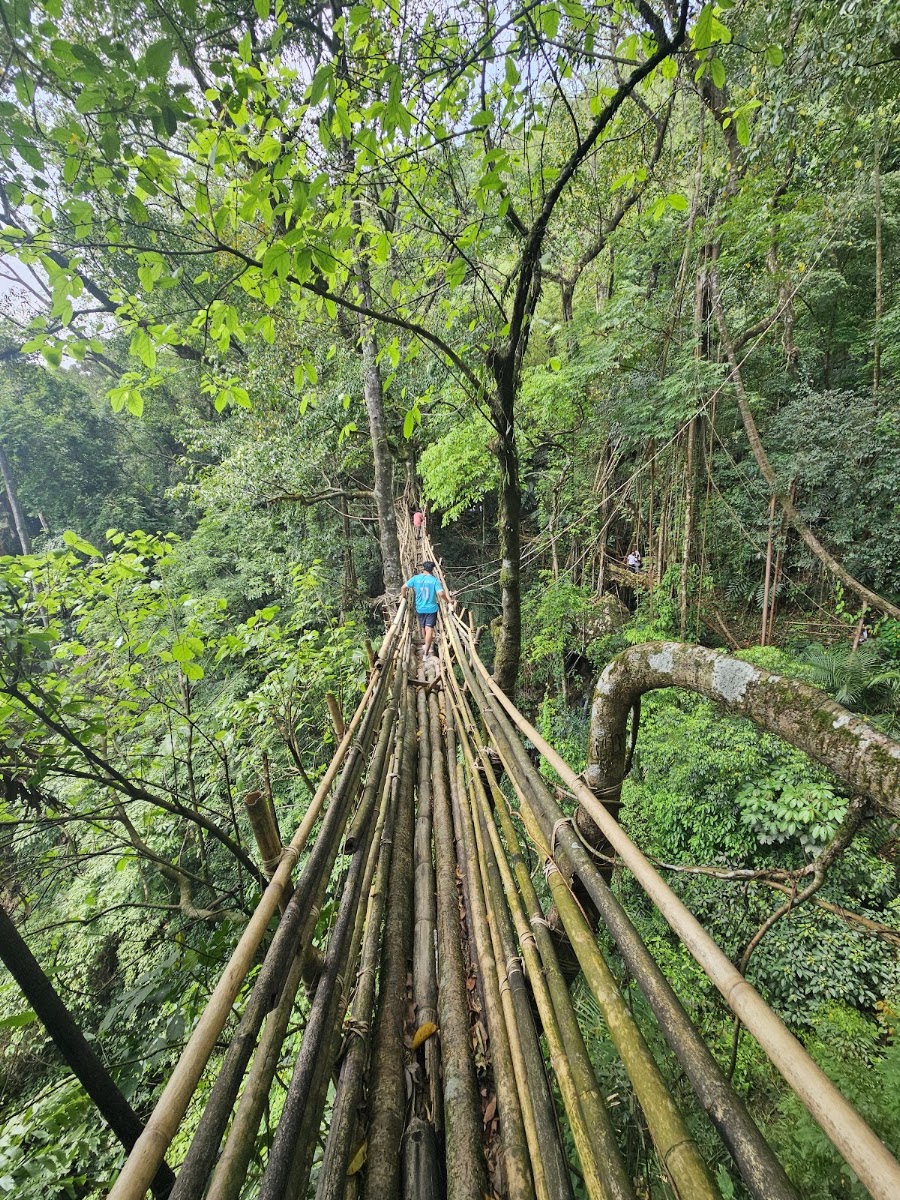 Mawkyrnot - Attractions in Meghalaya, Image 3 of 4