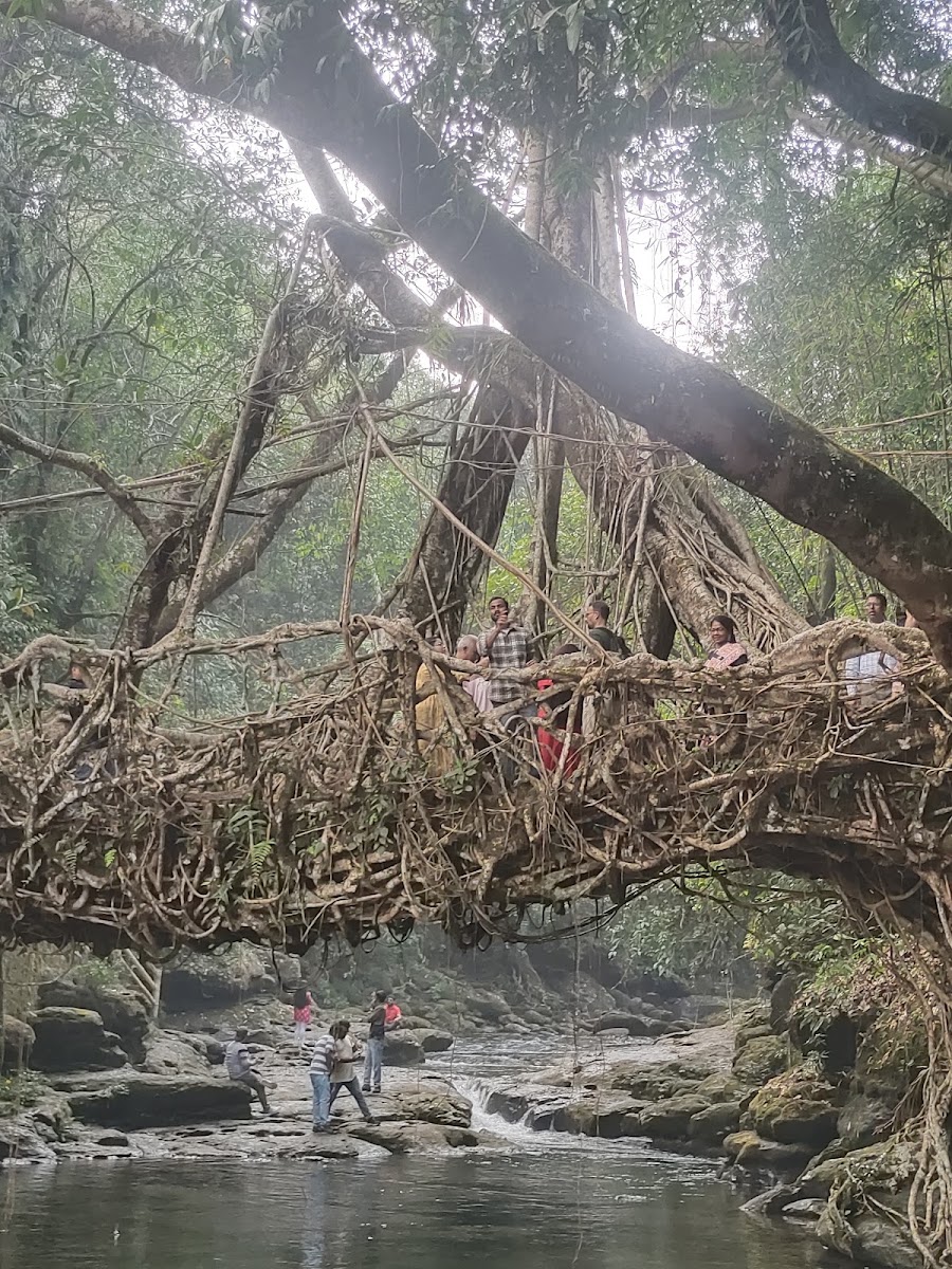 Mawkyrnot - Attractions in Meghalaya, Image 4 of 4