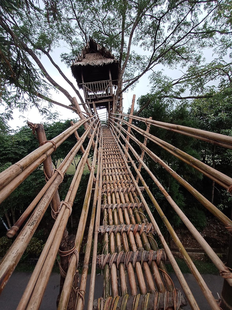 Mawlynnong village trek - Viewpoints in Meghalaya, Image 3 of 4