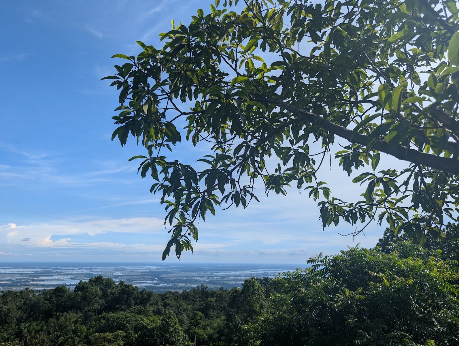 Mawlynnong village trek - Viewpoints in Meghalaya, Image 4 of 4