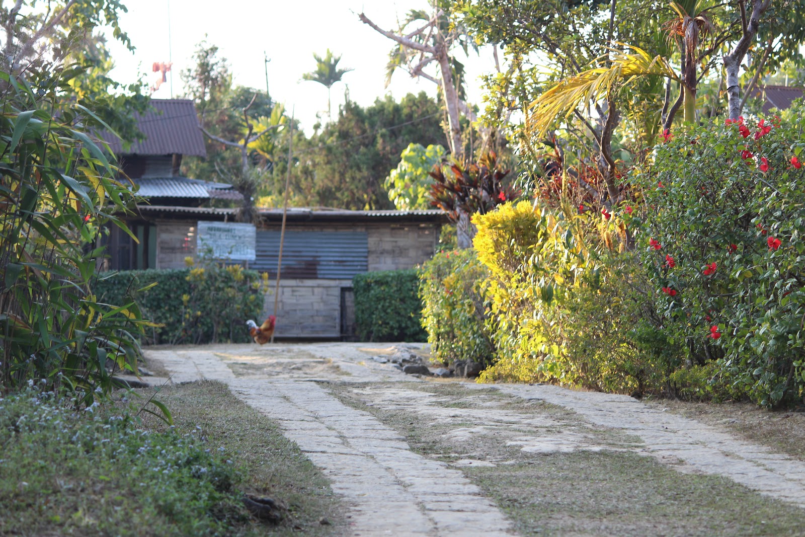 Mawlynnong - Other in Meghalaya, India