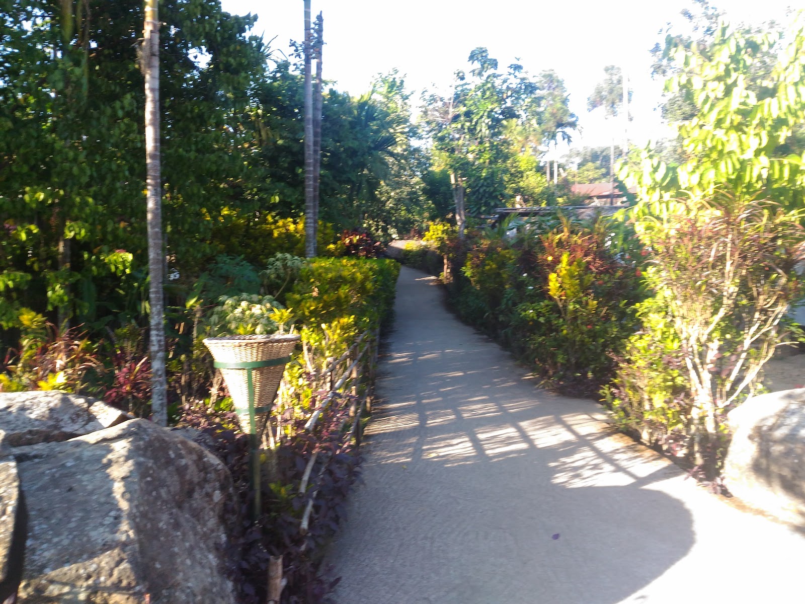 Mawlynnong - Other in Meghalaya, Image 4 of 4