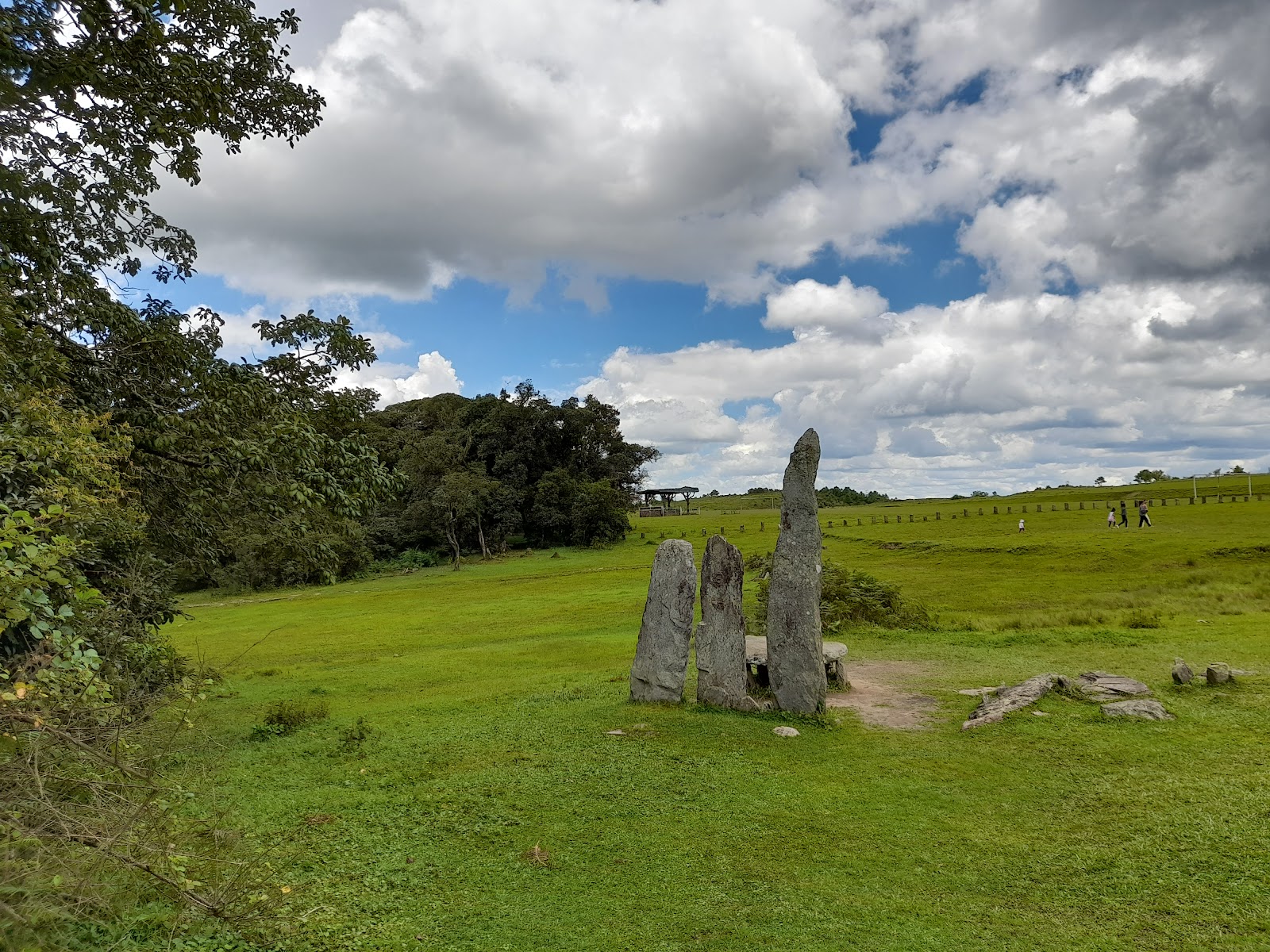 Mawphlang Sacred Forest - Attractions in Meghalaya, Image 3 of 4