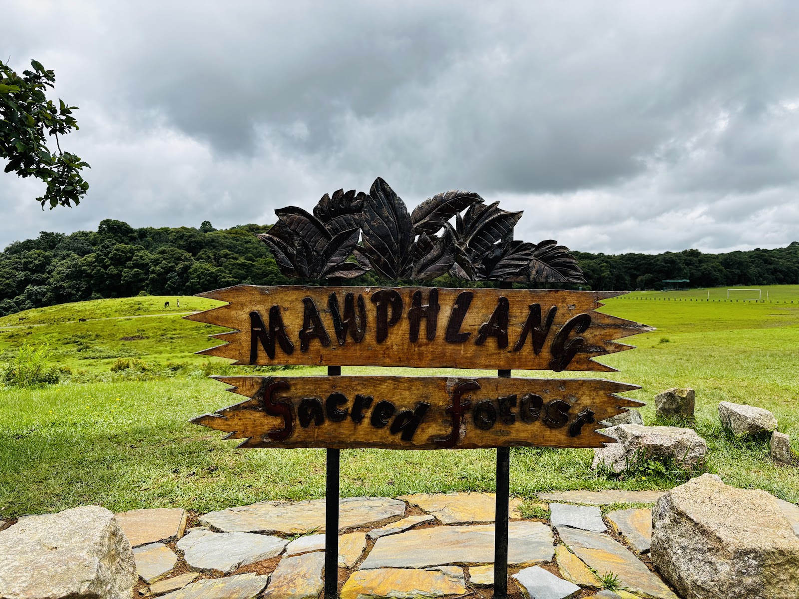 Mawphlang Sacred Forest - Attractions in Meghalaya, Image 4 of 4