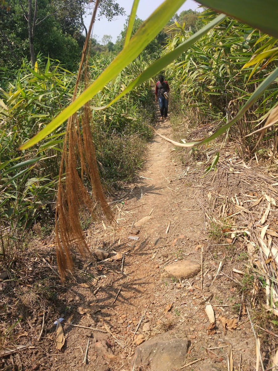 Mawshun Cave - Attractions in Meghalaya, Image 2 of 4