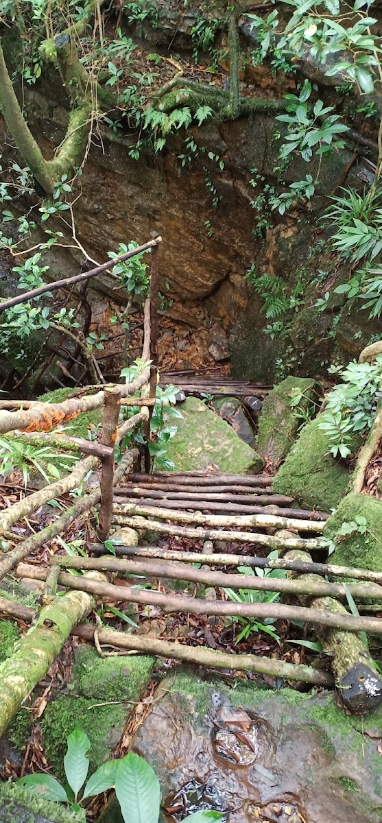 Mawtynhiang Cave - Attractions in Meghalaya, Image 3 of 4