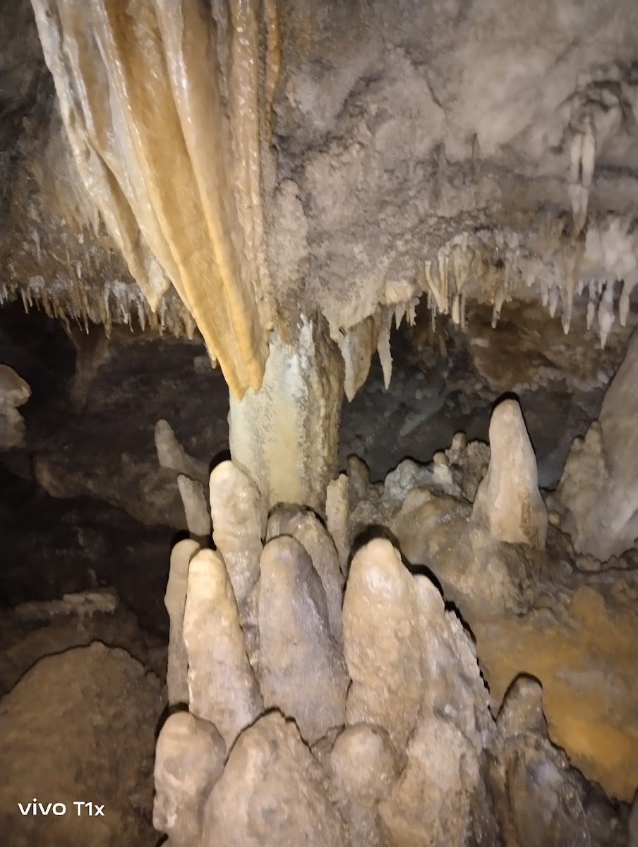 Mawtynhiang Cave - Attractions in Meghalaya, Image 4 of 4