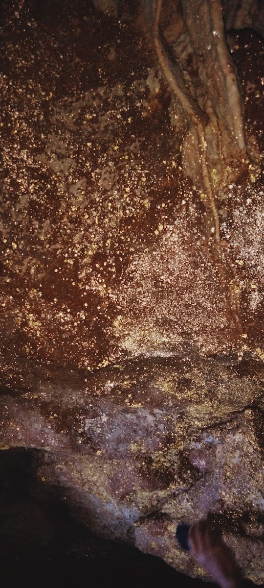 Nakama Cave - Attractions in Meghalaya, Image 3 of 4