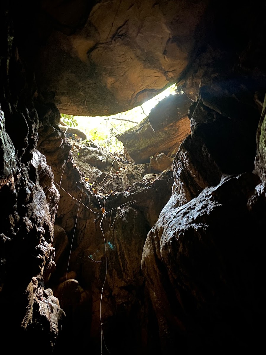 Nakama Cave - Attractions in Meghalaya, Image 4 of 4