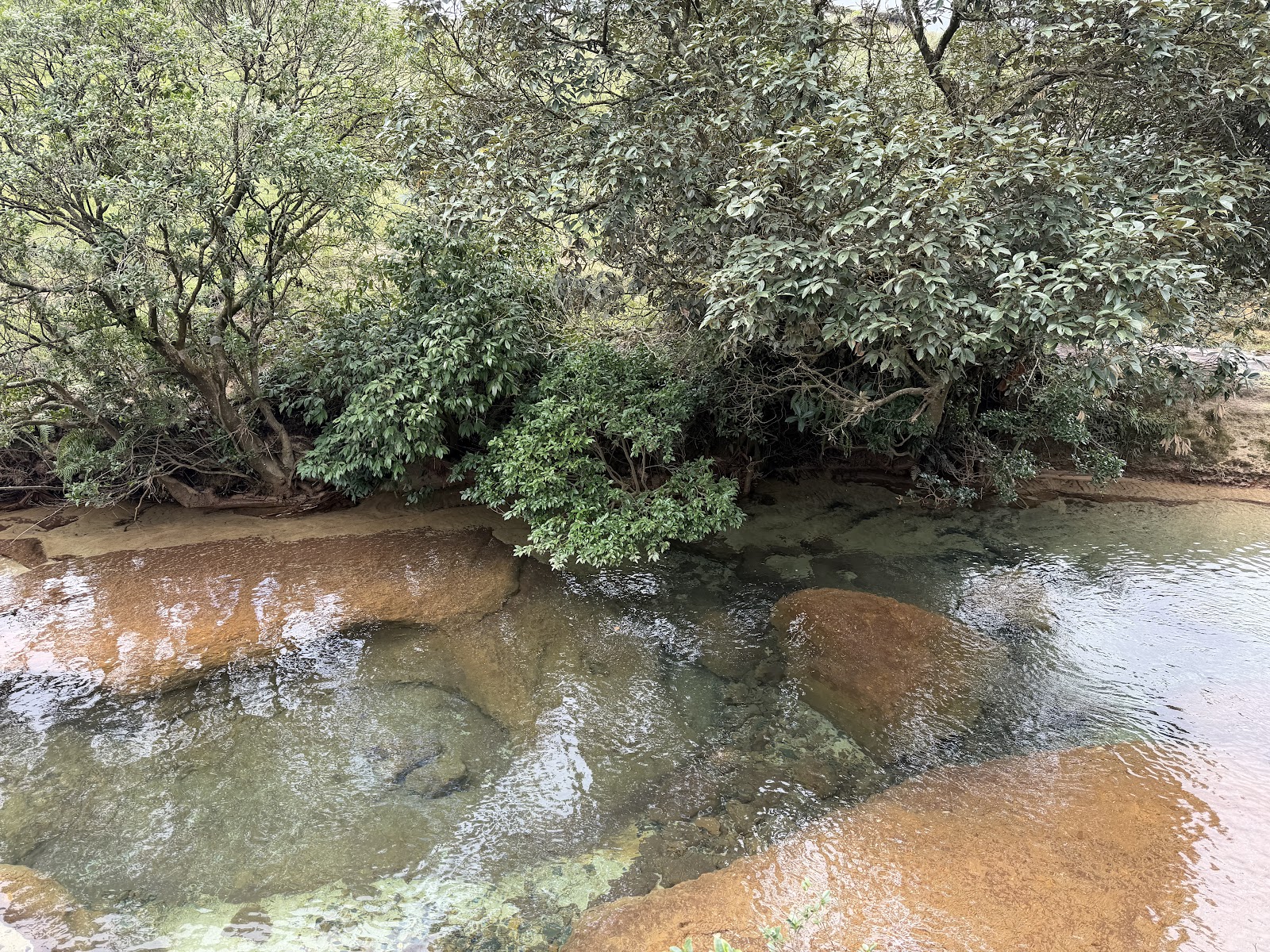 Natural swimming pool - Attractions in Meghalaya, India