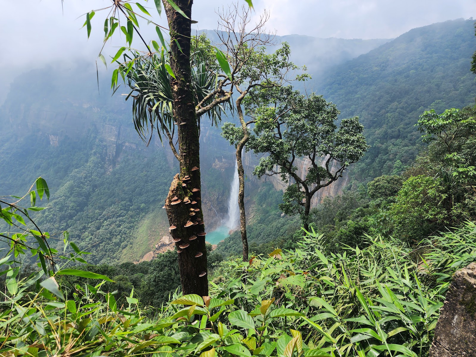 Nohkalikai Falls - Waterfalls in Meghalaya, Image 4 of 4