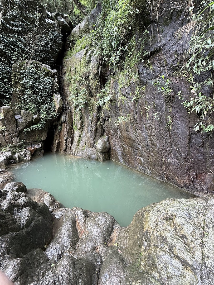 Pung lyer falls - Attractions in Meghalaya, Image 4 of 4