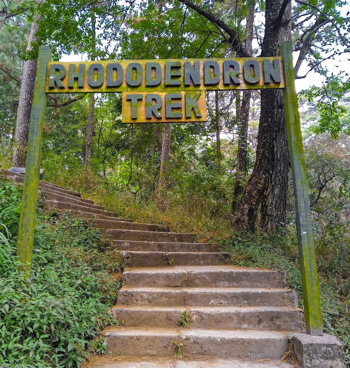 Rhododendron Trek - Viewpoints in Meghalaya, Image 2 of 4