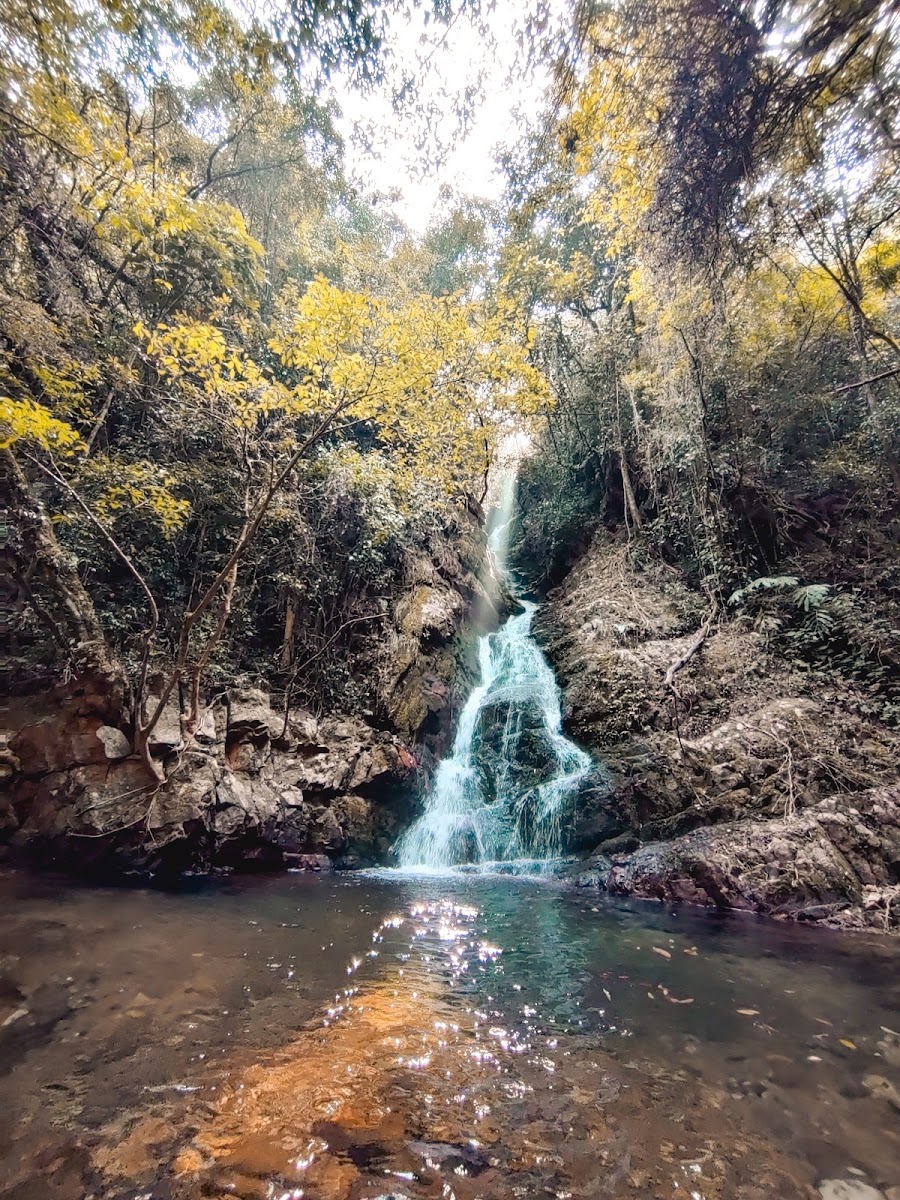 Rhododendron Trek - Viewpoints in Meghalaya, Image 3 of 4