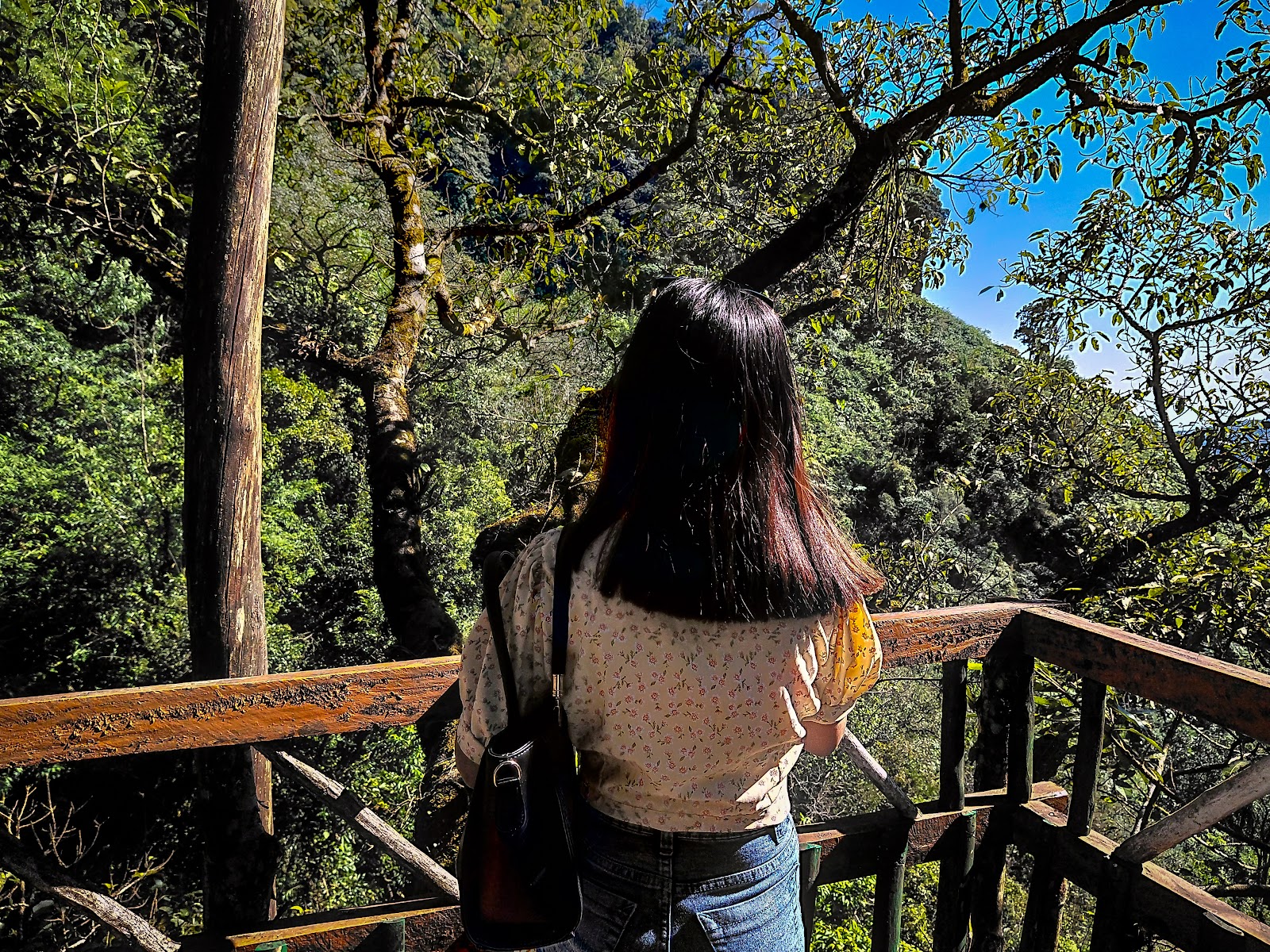 Ri-Skai park - Attractions in Meghalaya, Image 4 of 4