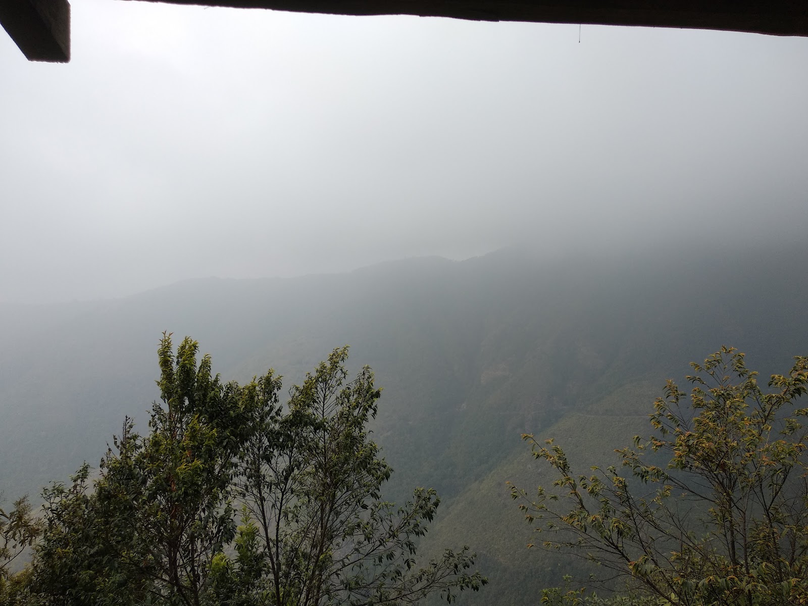Riwai Living-root Bridge - Viewpoints in Meghalaya, Image 2 of 4