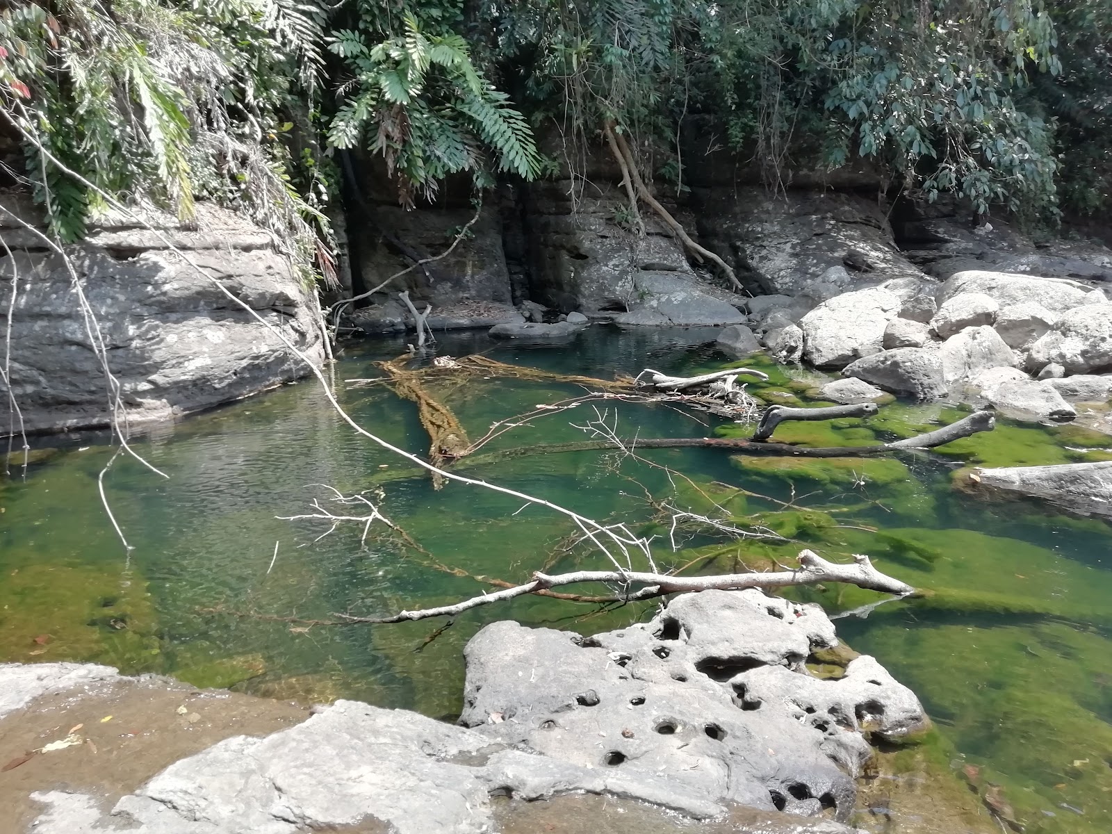 Riwai Living-root Bridge - Viewpoints in Meghalaya, Image 3 of 4