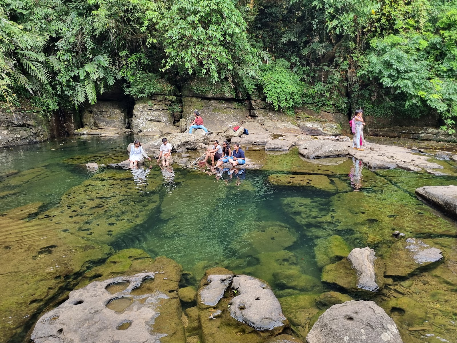 Riwai Living-root Bridge - Viewpoints in Meghalaya, Image 4 of 4