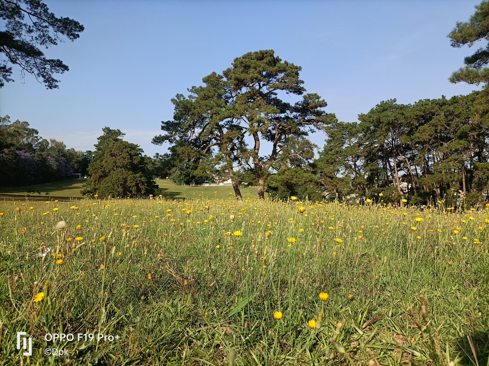 Shillong Golf Course - Other in Meghalaya, Image 3 of 3