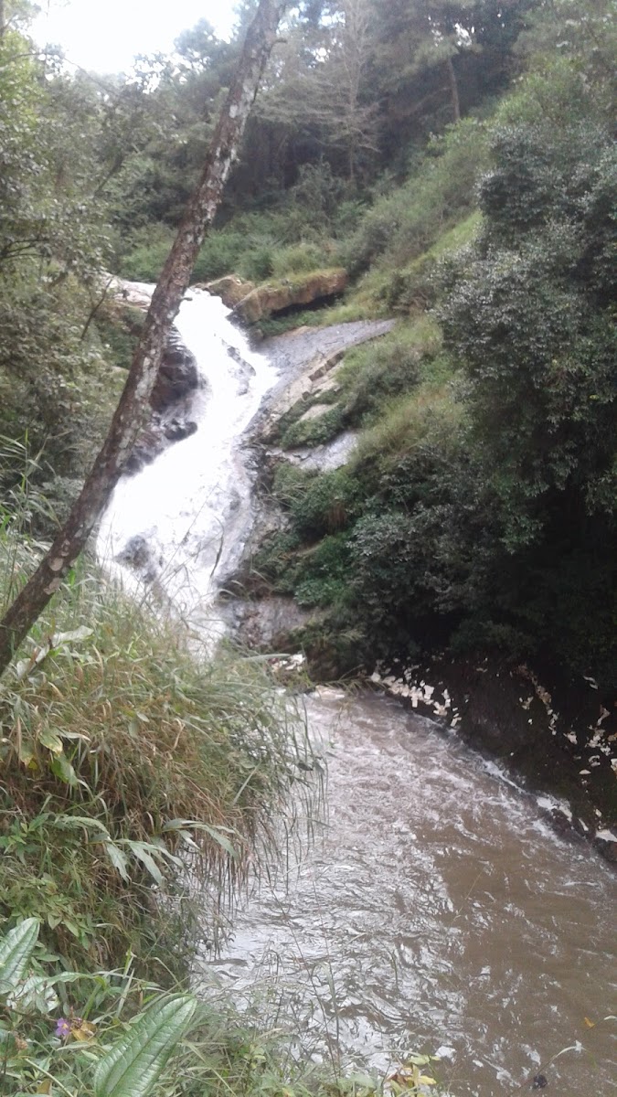 Spread Eagle Falls - Attractions in Meghalaya, Image 2 of 4