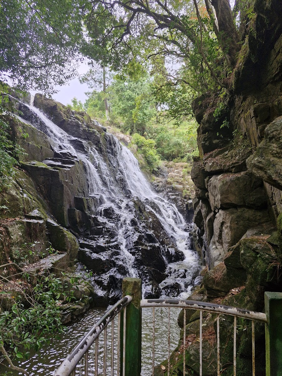 Tyrshi Falls - Attractions in Meghalaya, Image 4 of 4