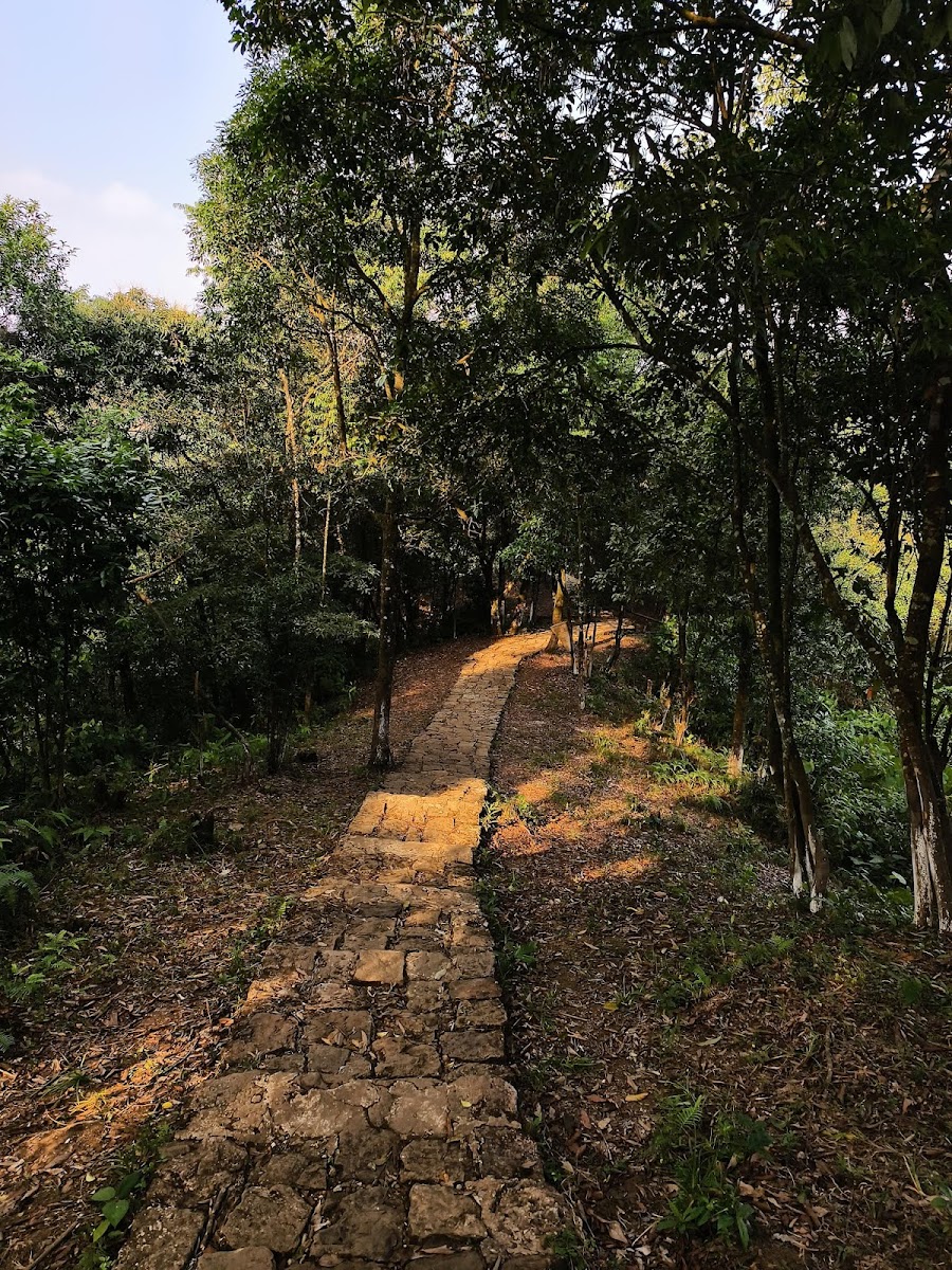 Umbyrlein Falls - Attractions in Meghalaya, Image 4 of 4
