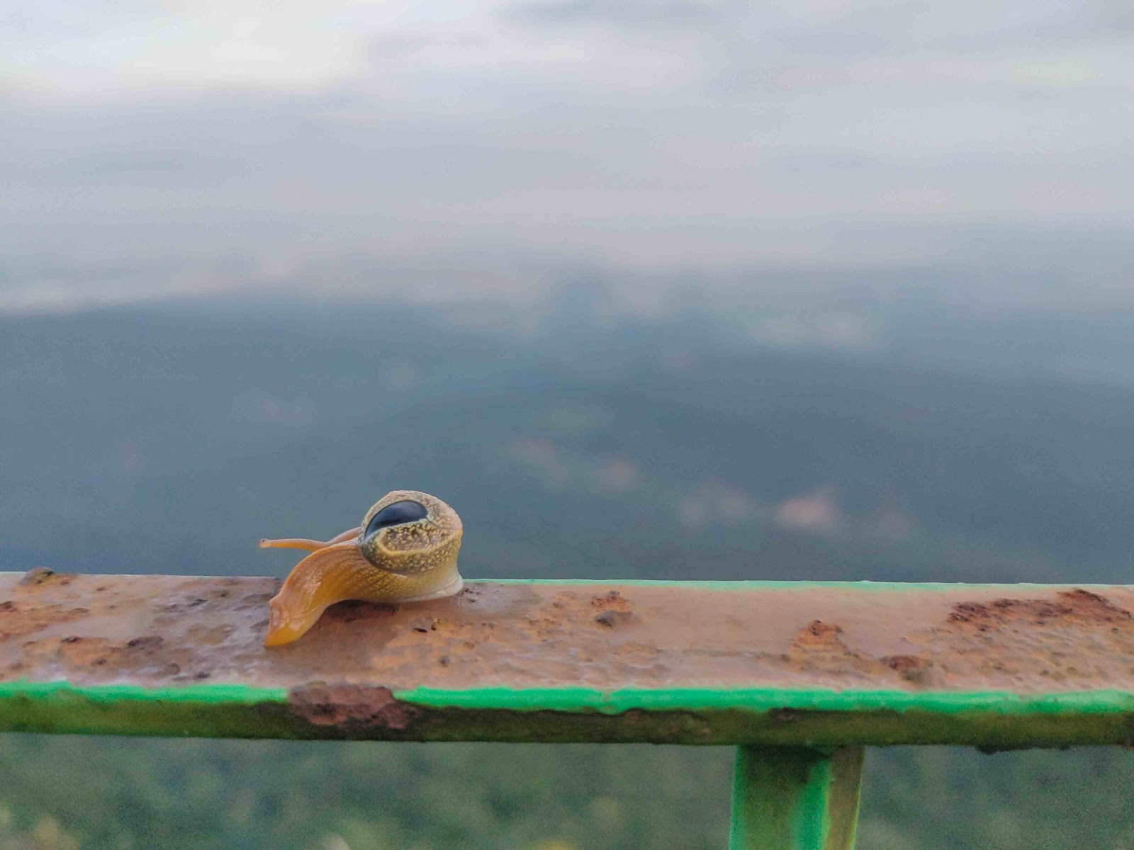 Unknown - Viewpoints in Meghalaya, Image 4 of 4