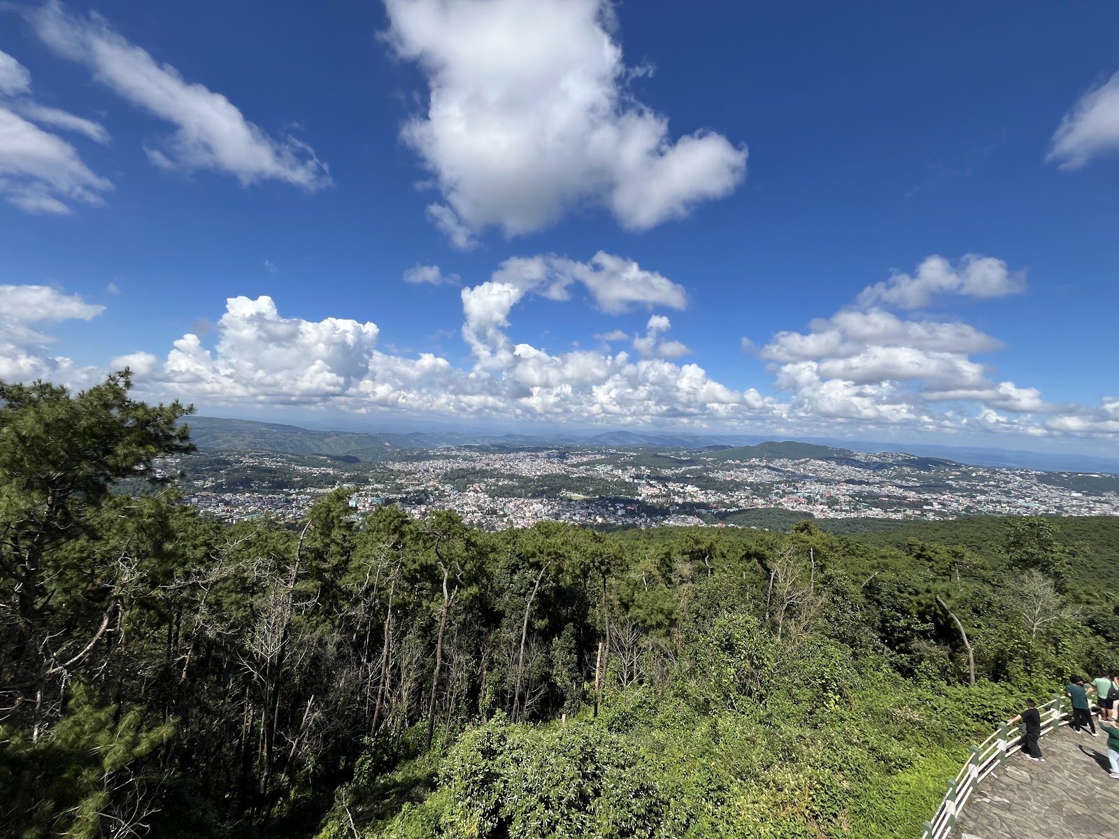 Upper Shillong Forest - Attractions in Meghalaya, Image 2 of 4