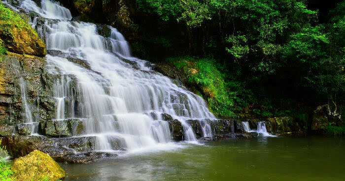 Upper Shillong Forest - Attractions in Meghalaya, Image 3 of 4