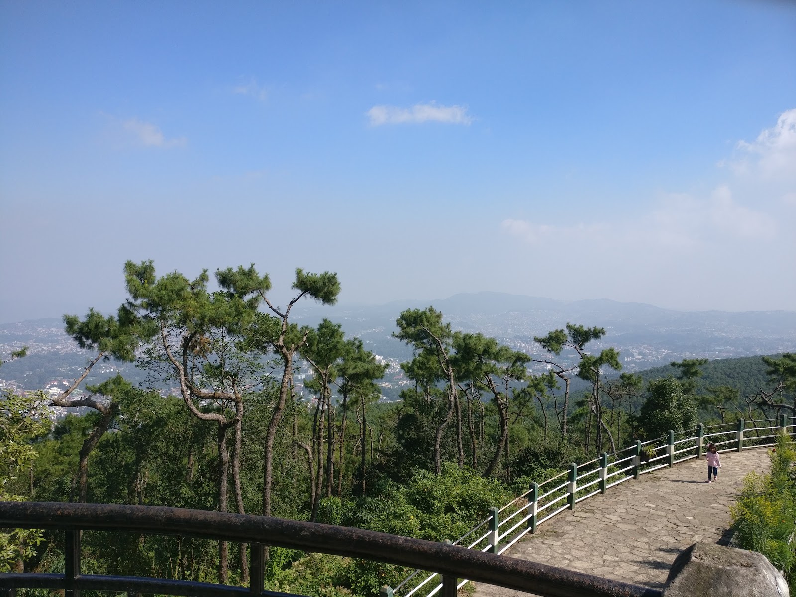 Upper Shillong Forest - Attractions in Meghalaya, Image 4 of 4