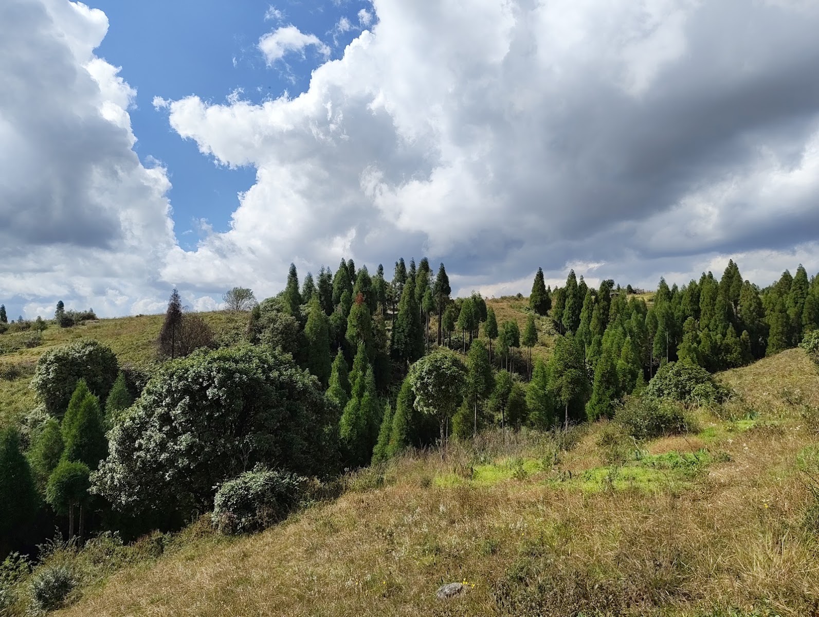 Wei Kyllang - Attractions in Meghalaya, Image 3 of 4