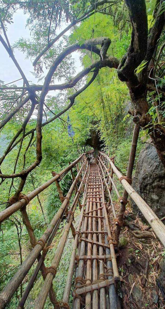 Bamboo trek, Wahkhen, Meghalaya