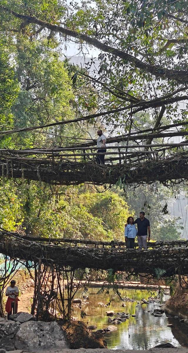 Living root bridge trekking point, Sohbar, Meghalaya
