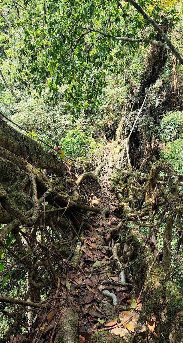 Mawkyrnot, Langkyrdem, Meghalaya